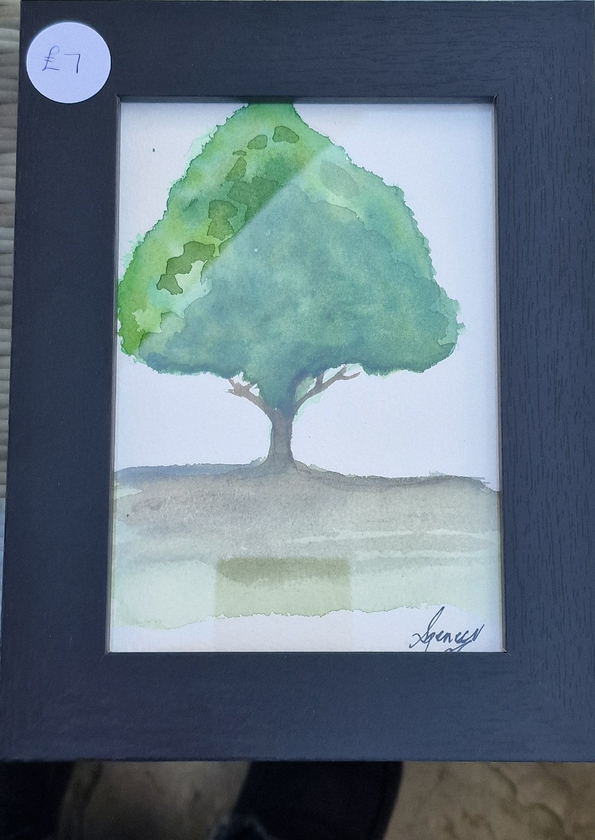 Small framed watercolour original tree