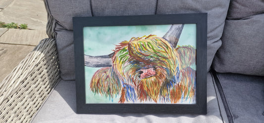 Highland cow SOLD